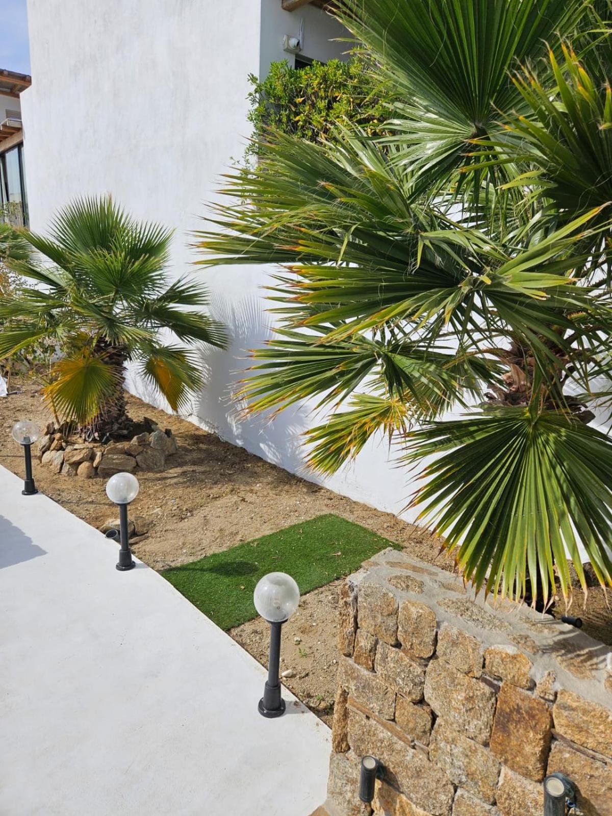 Elli Tropical Suites Mykonos Town Exterior foto